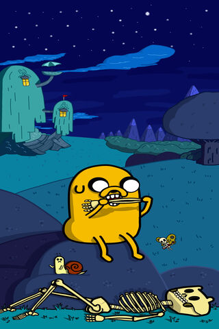 Jake Ate Finn