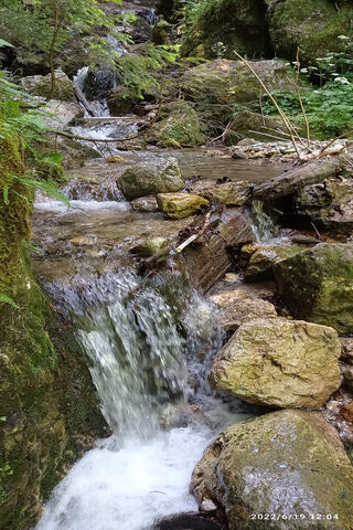 Tranquil Stream in Natu..