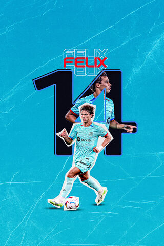 Felix in Action! ⚽️✨