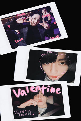 Sweet Valentine Memorie..
