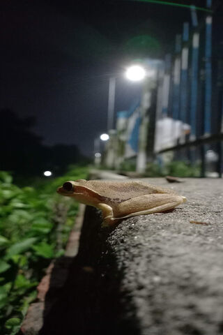 Karan the Night Watcher..