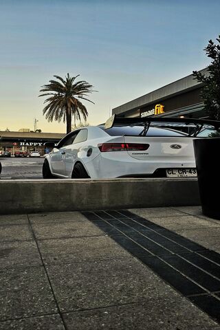 Sleek Ride Under the Pa..