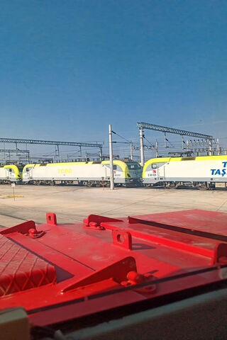 Trains in the Sun 🌞🚆