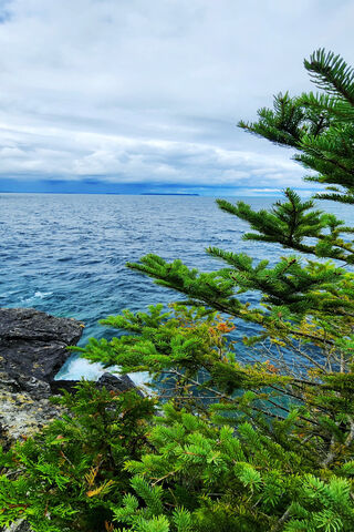 Tranquil Waters 🌊🌲