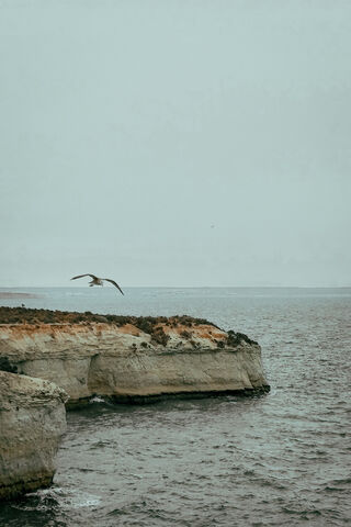 La Costa