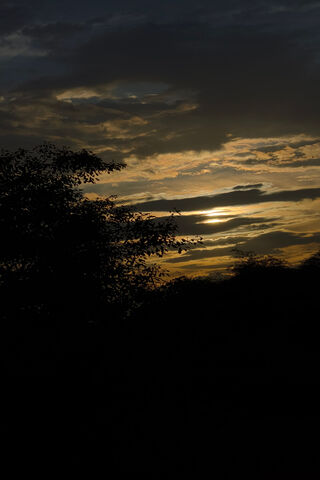 Serene Sunset Silhouett..