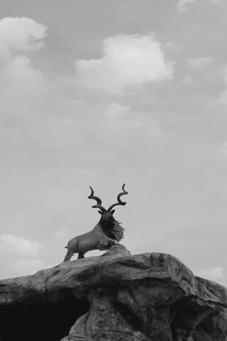 Majestic Markhor: The M..