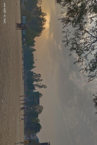 Morning View