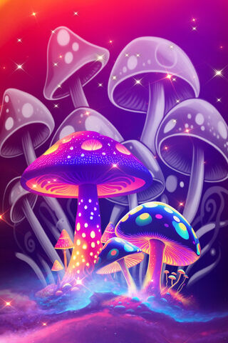 Enchanted Mushroom Wond..