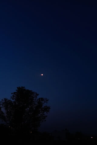 Enchanted Evening Sky �..