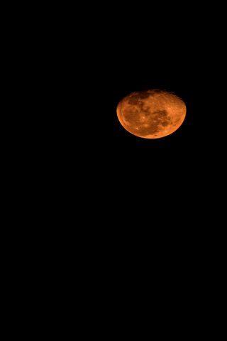 Enchanting Orange Moon ..