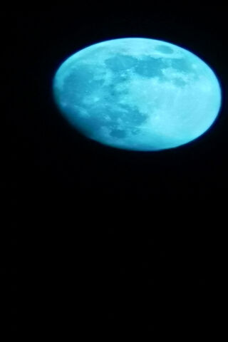 Mystical Moonlight 🌙✨