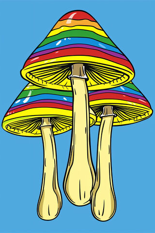 Magic Mushrooms