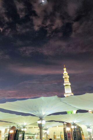 Majestic Medina: A Nigh..