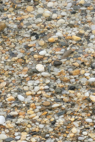 Tranquil Pebble Beach 🌊✨