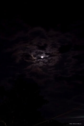 Mystical Moonlit Night ..