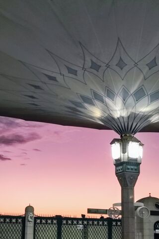 Majestic Canopy at Dusk..
