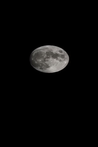 Majestic Moonlit Night ..