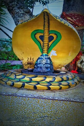 Serene Cobra Shrine 🐍✨