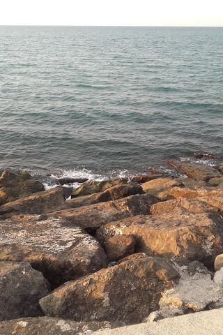 Serene Seaside Escape �..