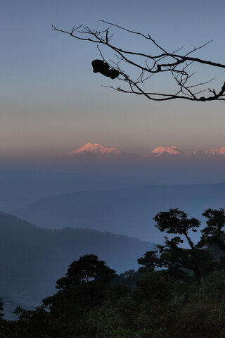 Whispers of the Peaks: ..