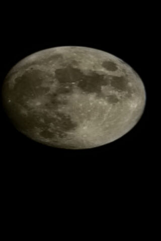 Enchanting Moonlit Nigh..