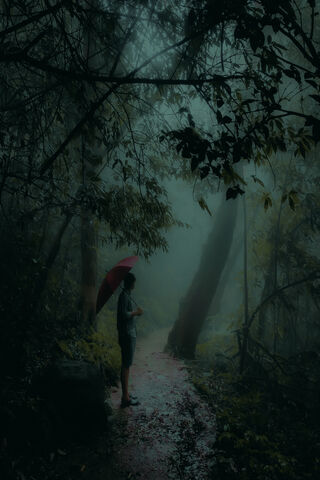Enchanted Forest Walk 🌲☔