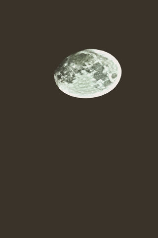 Enchanting Moonlit Nigh..