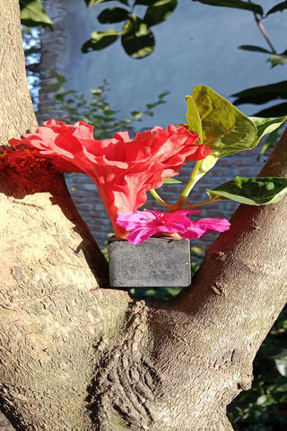 Blossoms on a Branch 🌺🌿