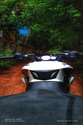 Adventure Awaits! 🏍️🌲