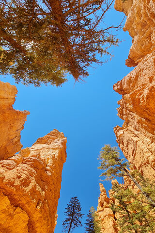 Navajo Loop