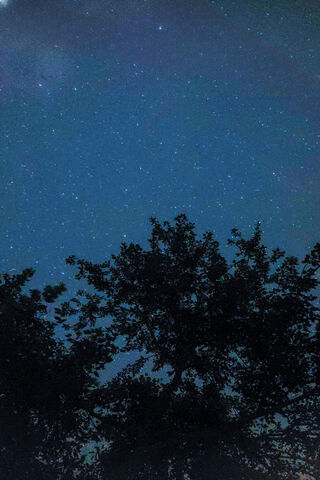 Starry Night 🌌✨