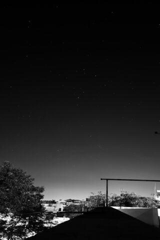 Starry Night Over the Rooftops 🌌✨