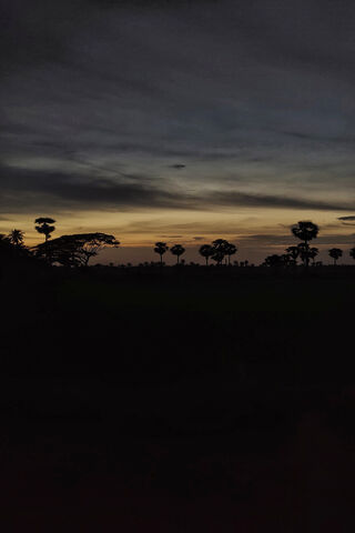 Twilight Serenity: A Na..