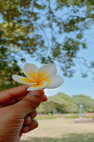 A Touch of Nature 🌼✨