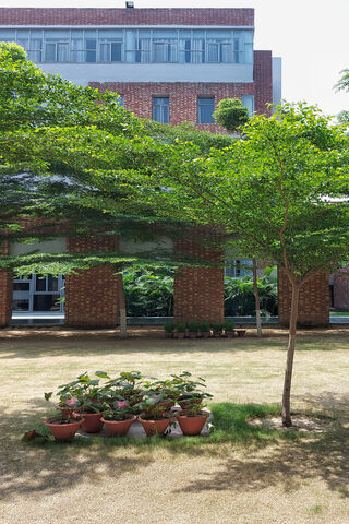 Serene Greenery in the ..