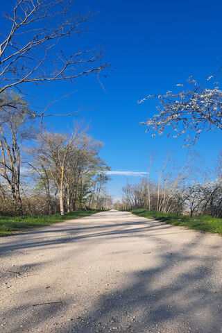 Serene Country Road