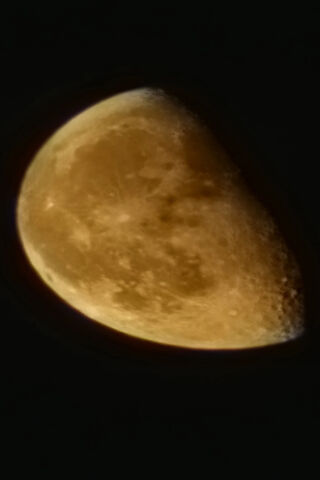 Golden Glow: The Enchanted Orange Moon
