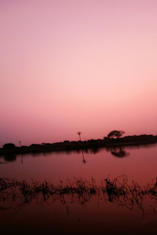 Pink Scenery