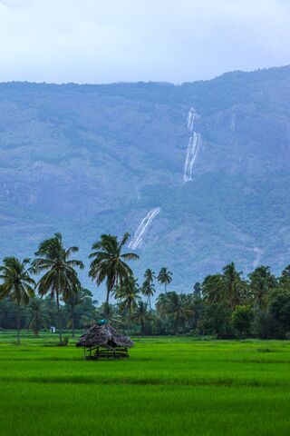 Serene Green Oasis 🌾🏞️