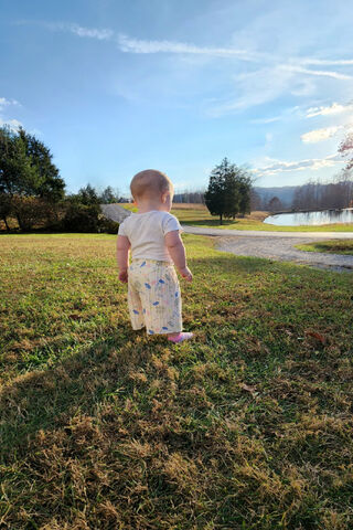 Little Explorer in Natu..
