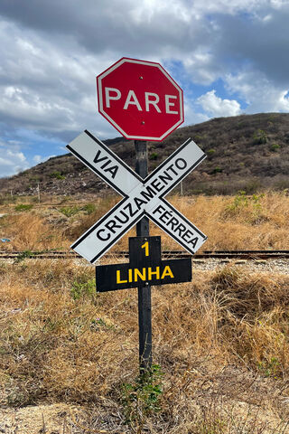 Caution Ahead! 🚦🚂