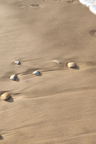 Tranquil Shores: Nature..