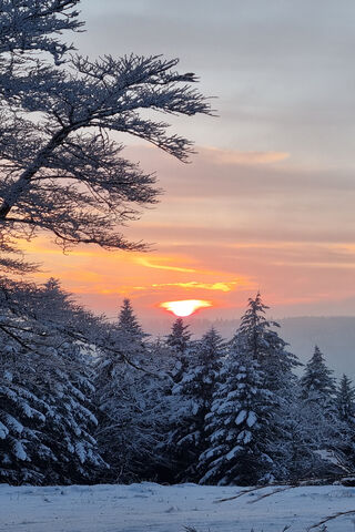 Winter Sunset Magic 🌅❄️