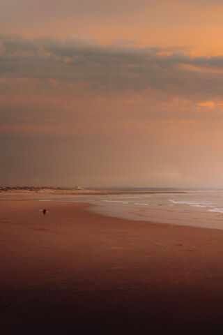 Serenity at Playa: A Su..