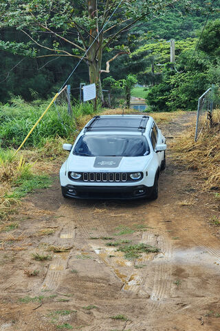 Adventure Awaits! 🚙🌲
