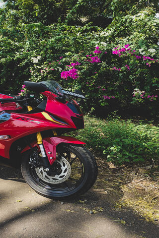 Vibrant Ride Among Blos..