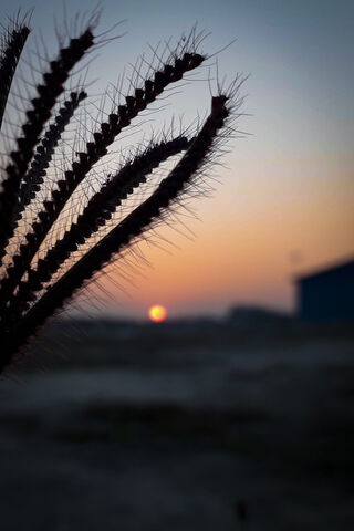 Sunset Serenity 🌅