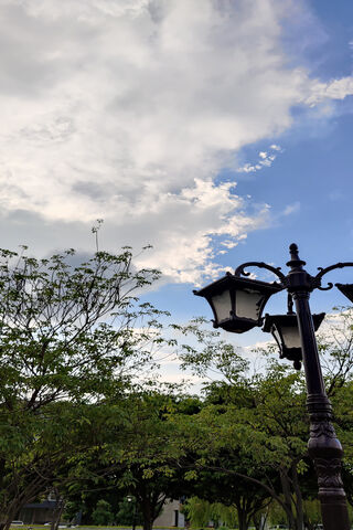 Tranquil Park Scene