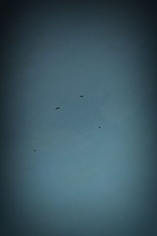 Silhouetted Soiree